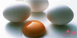 大连冷冻卵子需要多少钱,单身女性冷冻卵子费用