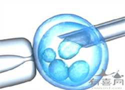 河北代怀孕的价格,(河北供卵试管)天津供卵试管婴儿代怀生子医院排名