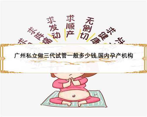 广州私立做三代试管一般多少钱,国内孕产机构