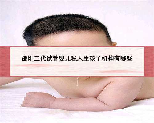 邵阳三代试管婴儿私人生孩子机构有哪些